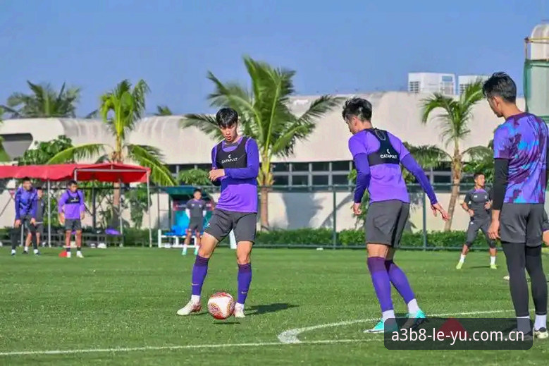 乐鱼体育平台实用指南：掌握移动端体验的关键技巧
